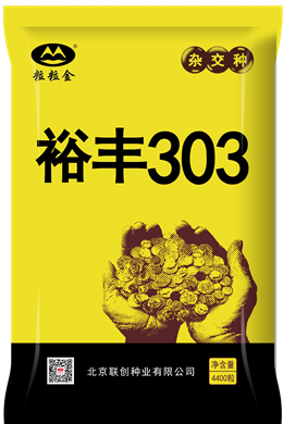 裕豐303